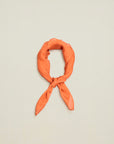 Small Scarf in Silk Chiffon
