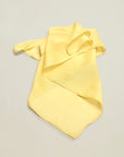 Small Scarf in Silk Chiffon