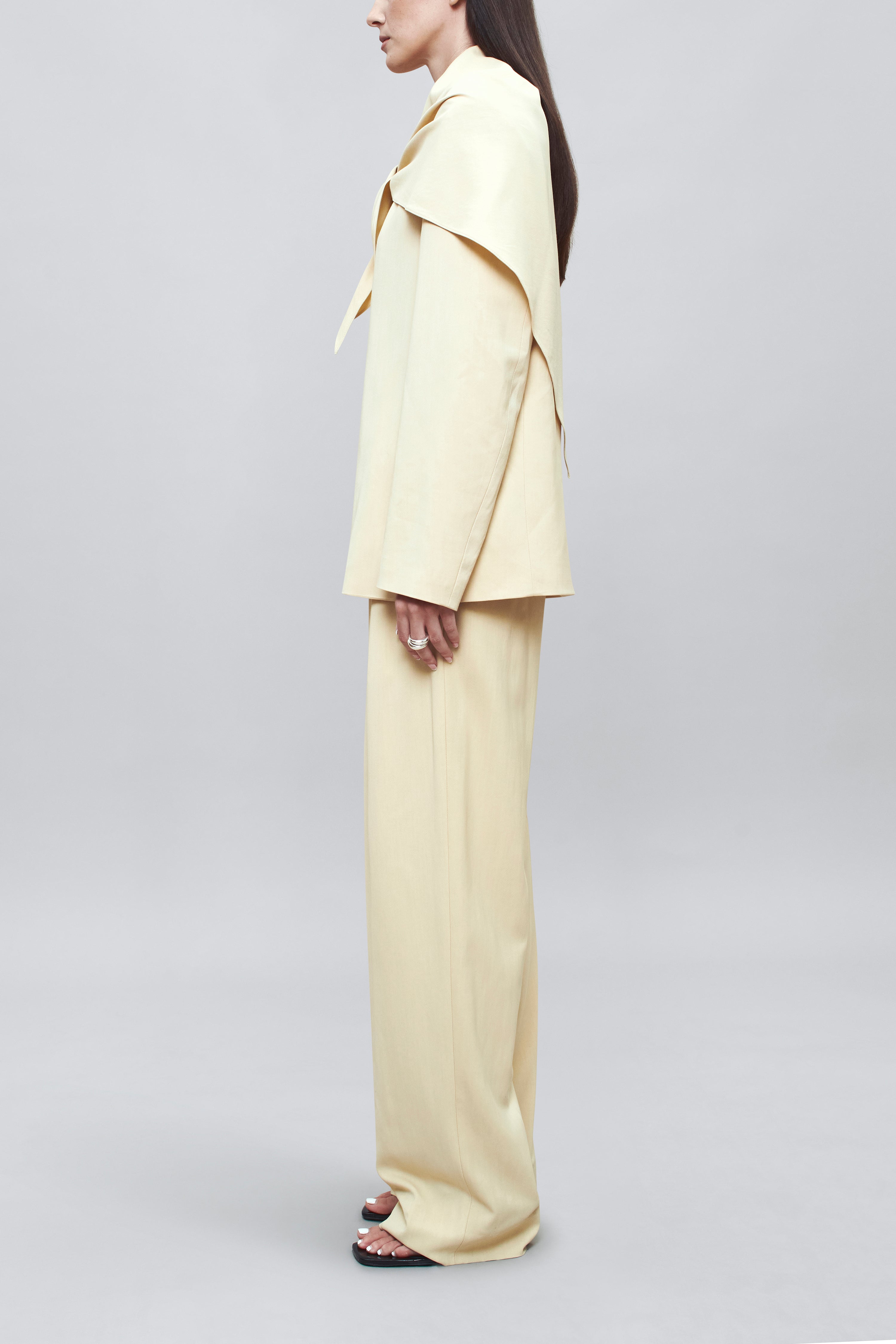 Aiden Pleated Trouser in Viscose Crepe