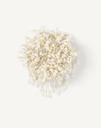 Sophia Brooch in Seed Embellishment
