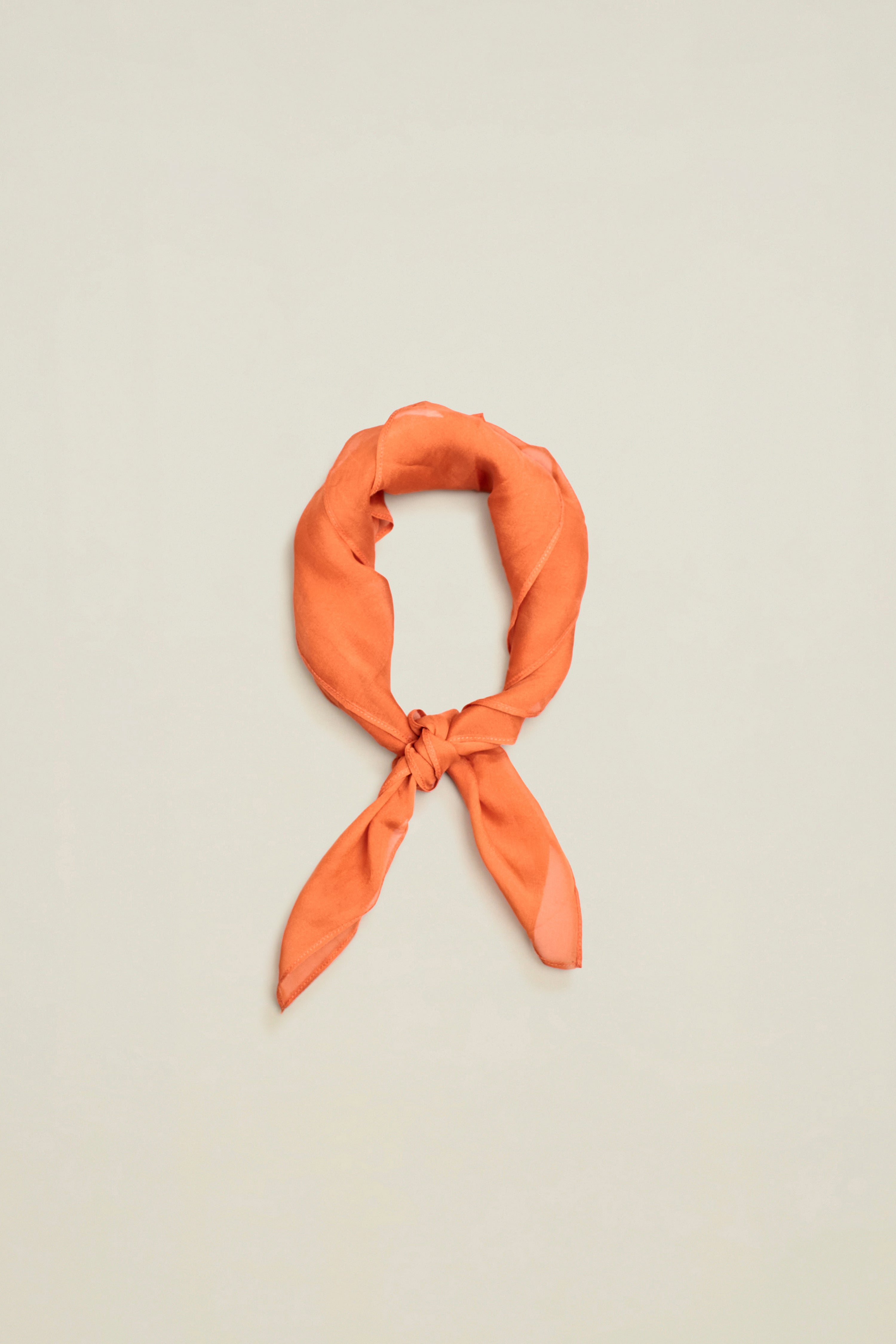 Small Scarf in Silk Chiffon