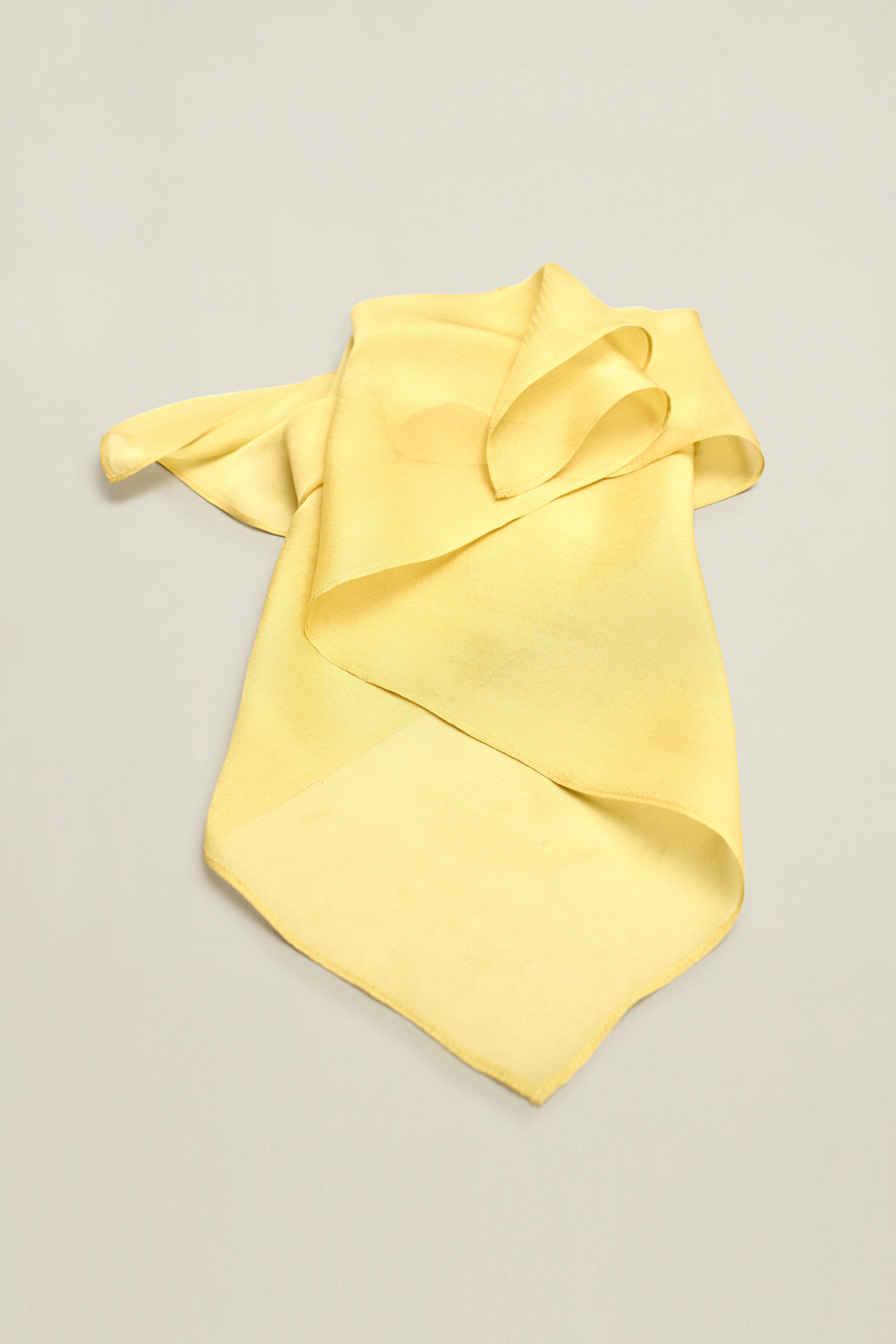 Small Scarf in Silk Chiffon